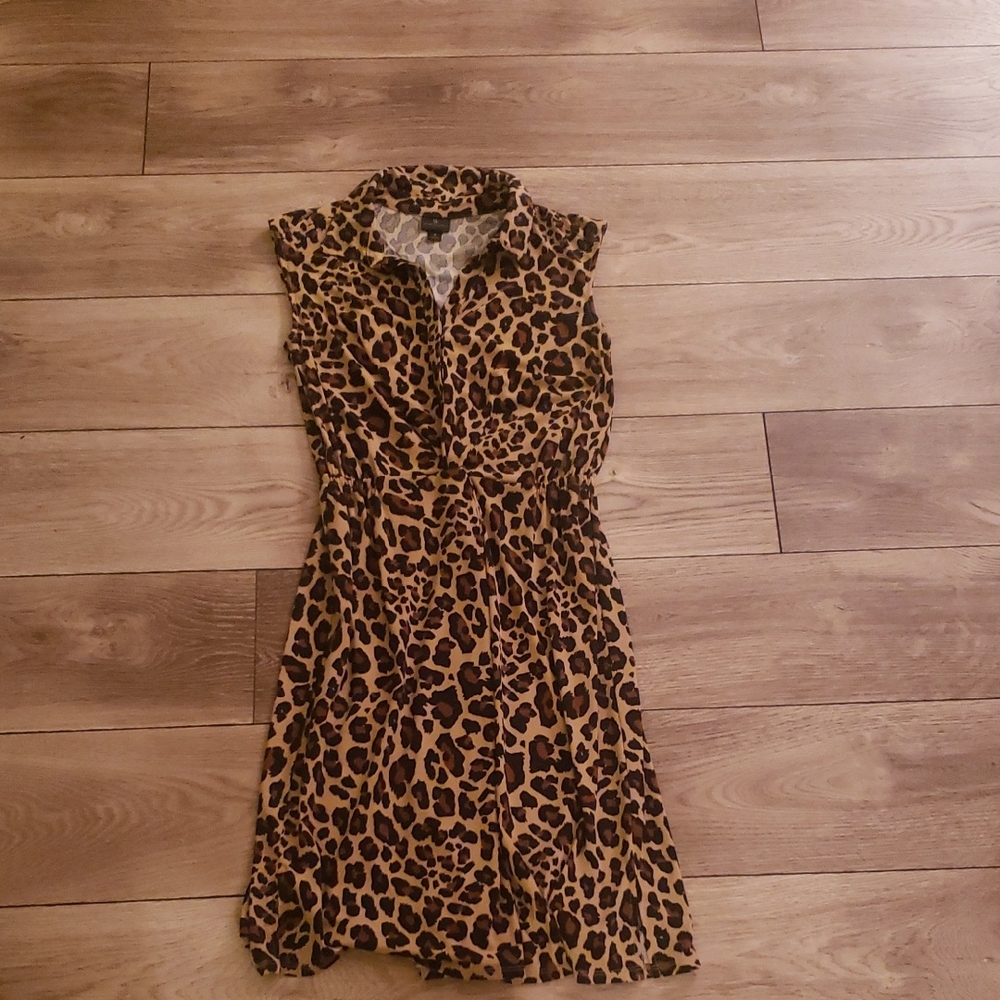 Chic Leopard Print Mini Dress
